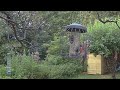 Wildlife Secrets - Nightime in an English Garden
