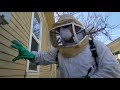 How to exterminate bees