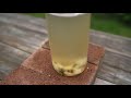 Make a Genius Fly Trap! (Get Rid of Flies For Good)