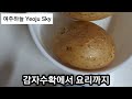 하지날에 감자를 수확하여 감자요리를 먹습니다.          꿀 맛입니다. Potato harvest