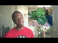 How to set up your Monstera for success