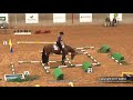 A Judge's Perspective: 2017 AQHA Select Trail World Champion