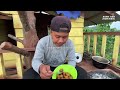 5 Hari berburu cat rumah pohon 30 meter pakai kompresor,bermain layangan & mancing disungai #KOOKIKO