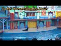 Everything You Need To Know Before You Visit Seaworld San Antonio