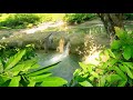 Beautiful water stream | Nature and water sound | Gentle Stream Sounds | Relaxing Stream Sounds