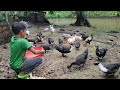 After cooking pig bran, the boy went fishing in the pond. When he caught a big fish, he was happy