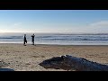 1 minute postcard from the beach, near Yachats, Oregon