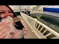 FULL TOUR OF TARPON SPRINGS, FLORIDA