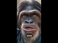 Before And After| AnimaLs transformaTION| Compilation| 😳😳 #animals #animaltransformation