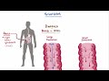 Crohn's disease (Crohn disease) - causes, symptoms & pathology