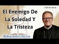 El enemigo de la soledad y la tristeza - Bishop Robert Barron