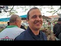 MUITAS GALINHAS NA FEIRA DE CARUARU-PE 27-07-2024 #nordeste