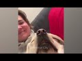 Funniest Animal 2024 😂 Best Funny Cats and Dogs 😻🐶 Cute Baby Dogs