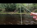 Fly Fishing on the River Doon with Davie McPhail