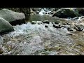 River Flowing Sounds, Amazing Forest Sounds