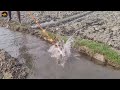 😲Top Fishing Video 2023 🖤 Experts Fisherman Big Fish Catching In Water Drain 🖤 Best Fishing Video