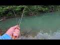 Fly Fishing: Missouri’s RAINBOW TROUT FACTORY!