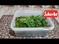 #how_to_store_mint_coriander_leaves #desi_food_with_anam