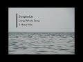 SymphoCat - Long Whale Song | 1 Hour Mix