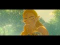 Will Of The Sword -  BOTW Cinematic Combat Montage