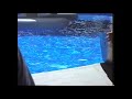 Dolphin feeding pool, 2000