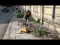 The grass on the sidewalk grows more than 2 meters high. I clean with simple tools - Part 2