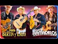 Dueto Los Armadillos y Dueto Bertin y Lalo Mix - Corridos y Rancheras Viejitas