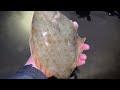 Flounder fishing north wales (prestatyn)