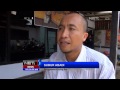 NET24 - Kucing Ras Langka