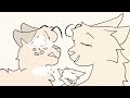 Say it! // Warriors OC animatic// Baysplash