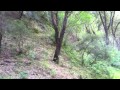 Ventana Wilderness: Day 5