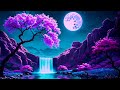 Feeling tired? Listen to this Music for Deep Sleep| Music for Stress Relief, Relaxing & Sleeping