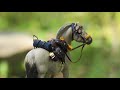How To Make a Model Horse Halter! - Schleich Halter Tutorial