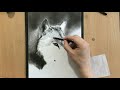 Charcoal Drawing of a Wolf