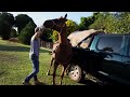 How To Bring An Old Cheap Saddle Back To Life! SADDLE RESTORATION!