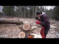 2020 Husqvarna 455 Rancher VS 450 Husqvarna chainsaw