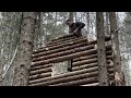 Building a Bushcraft Log Cabin for Survival in the Woods, Life Off The Grid