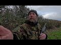 roost shooting woodpigeons with a free rant thrown in