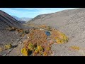 Bishop Creek, South Fork Canyon, California