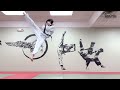 Taekwondo Basics: All Basic Kickings