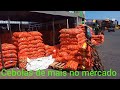 ÓTIMOS PREÇOS NO MERCADO DO PRODUTOR