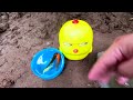 Amazing Catch Cute BABY PUFER Fish In Tiny Pond After Rain, Minions Fish, Gold Blond, Pencil Fish