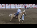 Calgary Stampede 2016 Barrel Racing Day 4