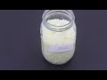 How To Make Sauerkraut - Homemade Sauerkraut - Sauerkraut Recipe - Cabbage Probiotic Recipe