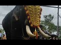 RKV അനിൽകുമാർ ആന 😍 RKV Anilkumar ❤️ Kerala Elephants | ആന വീഡിയോ | Elephants ❤️ วิดีโอช้าง