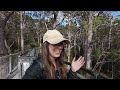 ELEPHANT ROCKS, VALLEY OF THE GIANTS TREE TOP WALK, PEMBERTON, DRAFTYS CAMP | Australia Travel Vlog