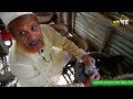 চিনা হাঁসে চাচা মিয়া’র বাজিমাত - চিনা হাঁসের খামার | Muscovy duck || কৃষি ঘর