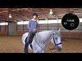 HOW TO STEER A HORSE (Tips for Success ) 🐴