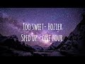 Too Sweet by Hozier (@hozier ) sped up 1 hour