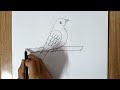 How to draw bird || drawing bird || bird drawing easy @SajusArt